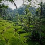 Island Escape: Bali’s Enchanting Secrets