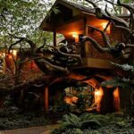 Hostal la selva