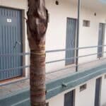 Hotel Aguila