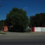 LOS CEDROS
