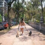 Actividades en México