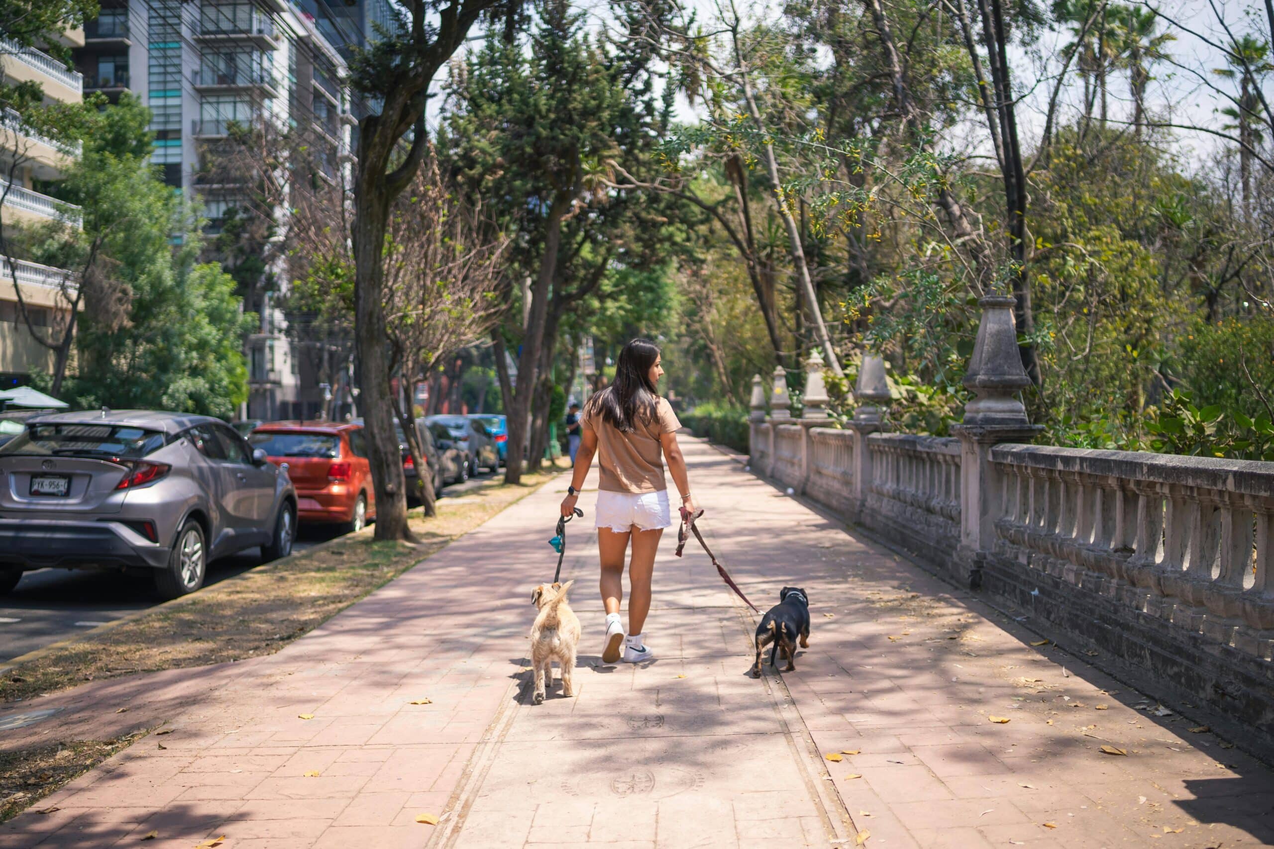 Actividades en México